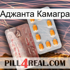 Аджанта Камагра new13